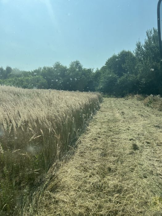 Koszenie nieużytków, łąk, traw kosiarką bijakową, mulczowanie