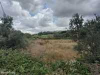 Terreno 12 hectares em Vale Mourão - Cacém