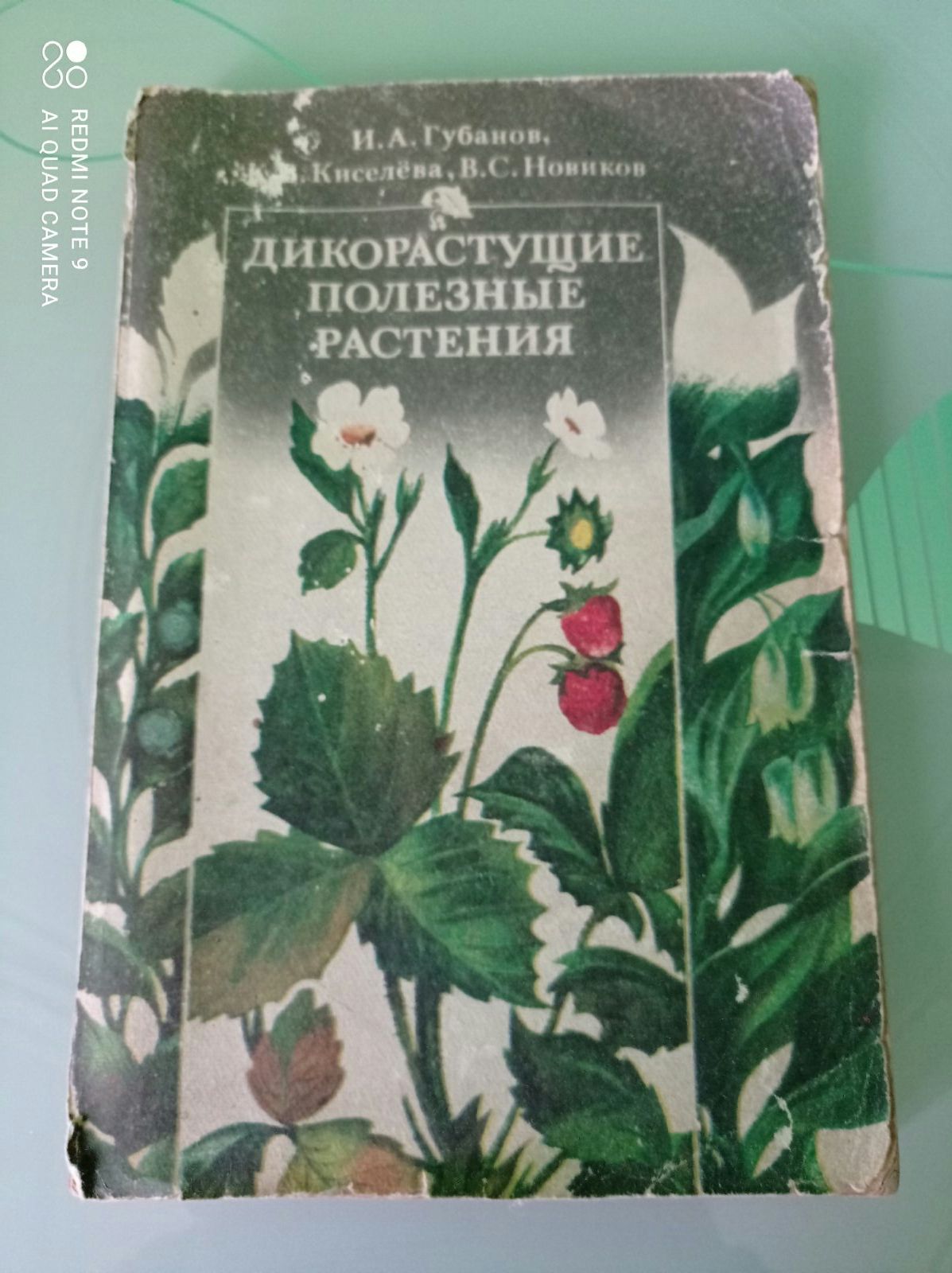 Дикорастущие полезные растения И. П Губанов