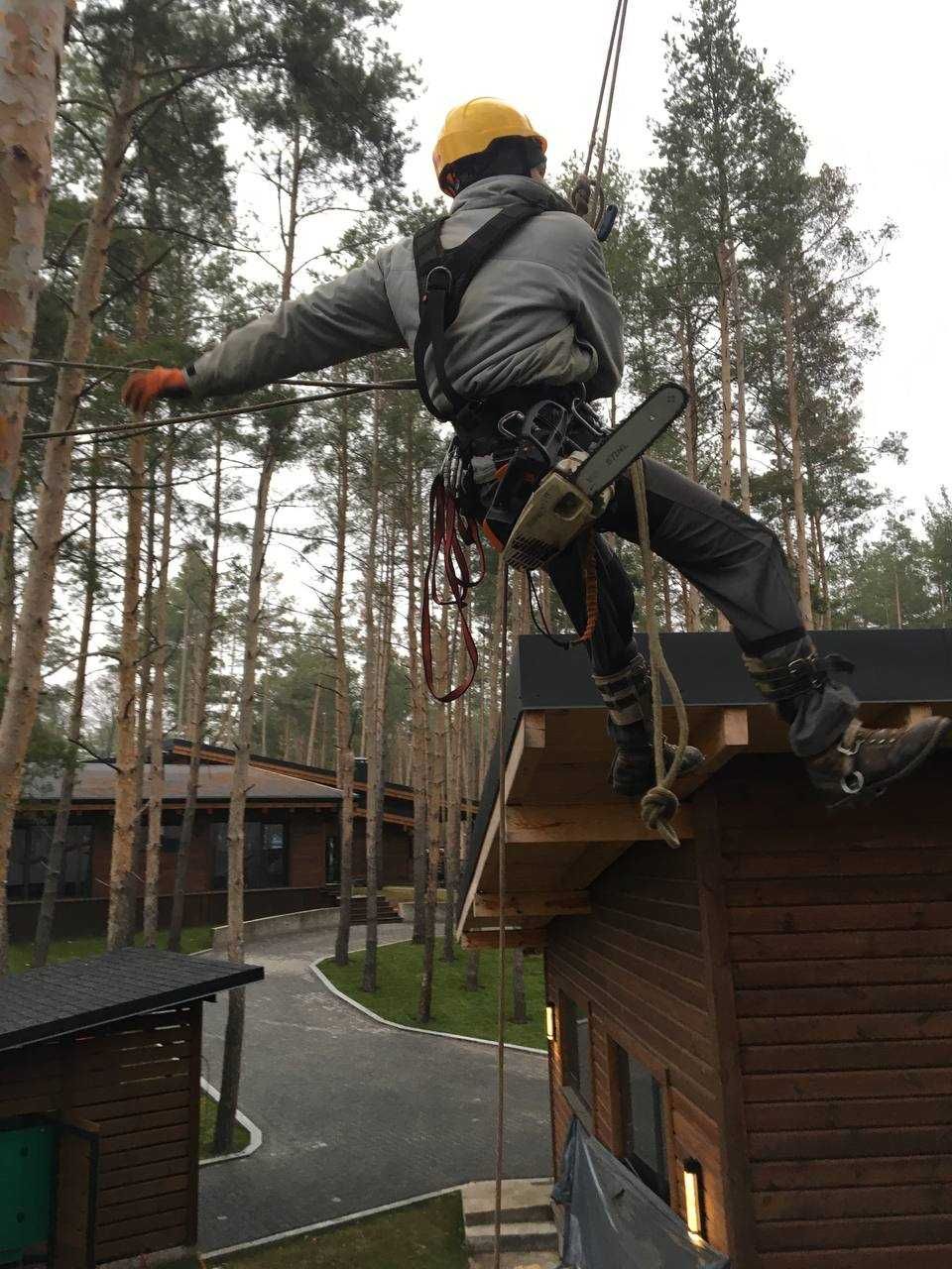 Удаление и обрезка деревьев. Зрізання дерев. Утилізація гілок. ВИГІДНО