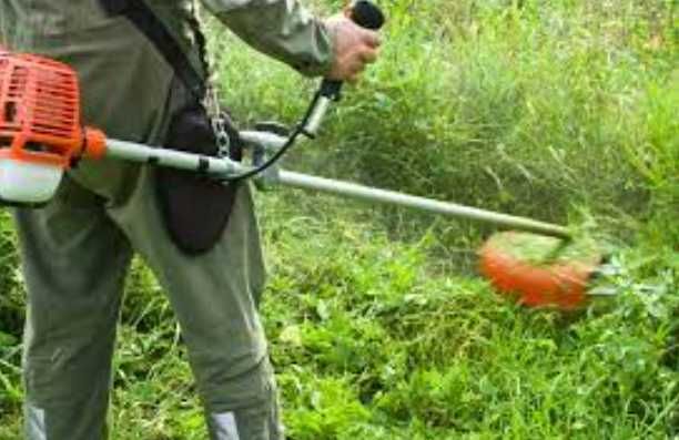 Уборка, чистка участка, покос травы. Спил деревьев. Вывоз мусора.