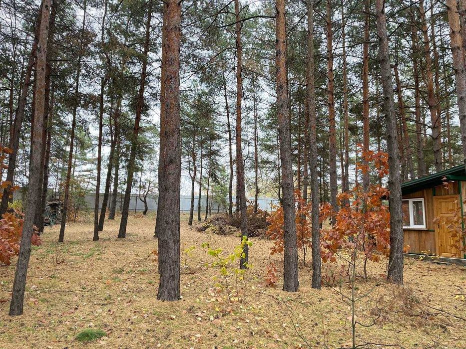 Продається будинок мрії на Дамбі