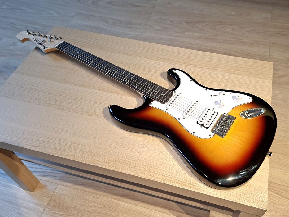 Washburn WS300H TS