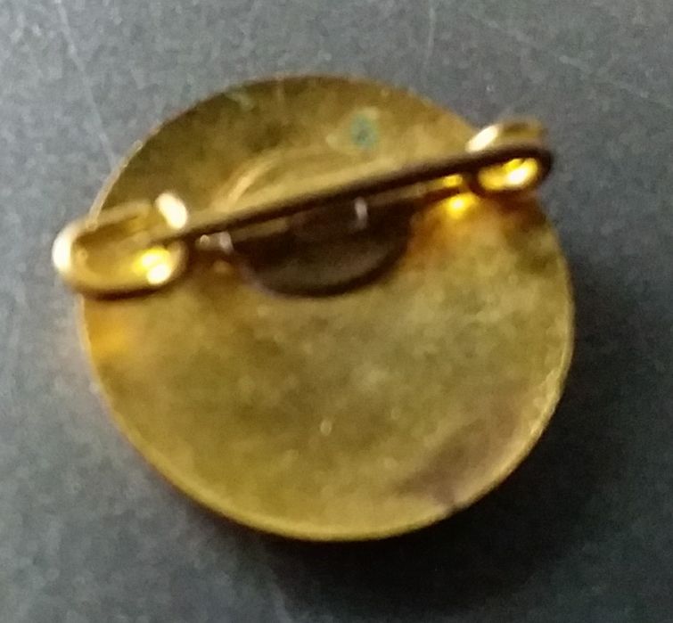 Pin do Movimento Nacional Feminino