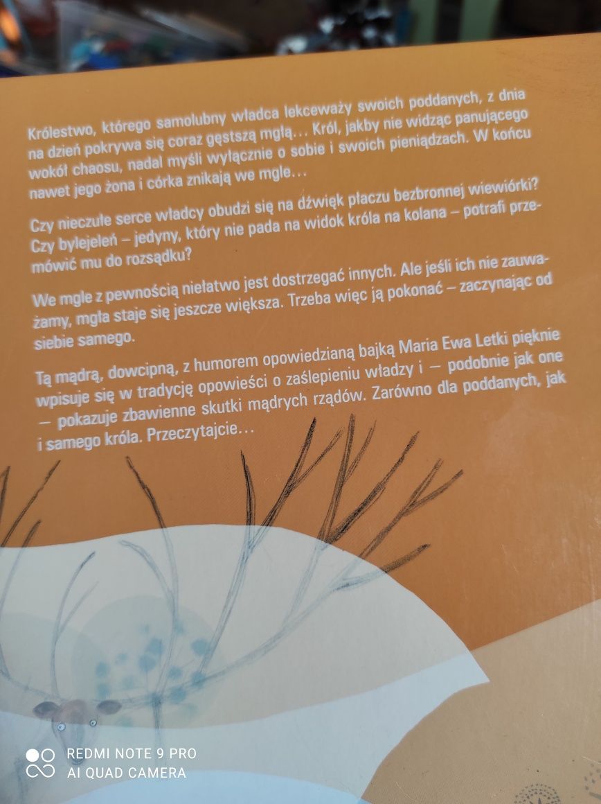 Król i mgła Maria Ewa Letki
