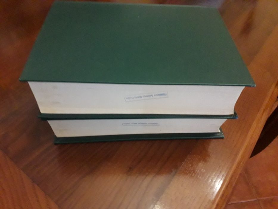 Dicionário Português Francês