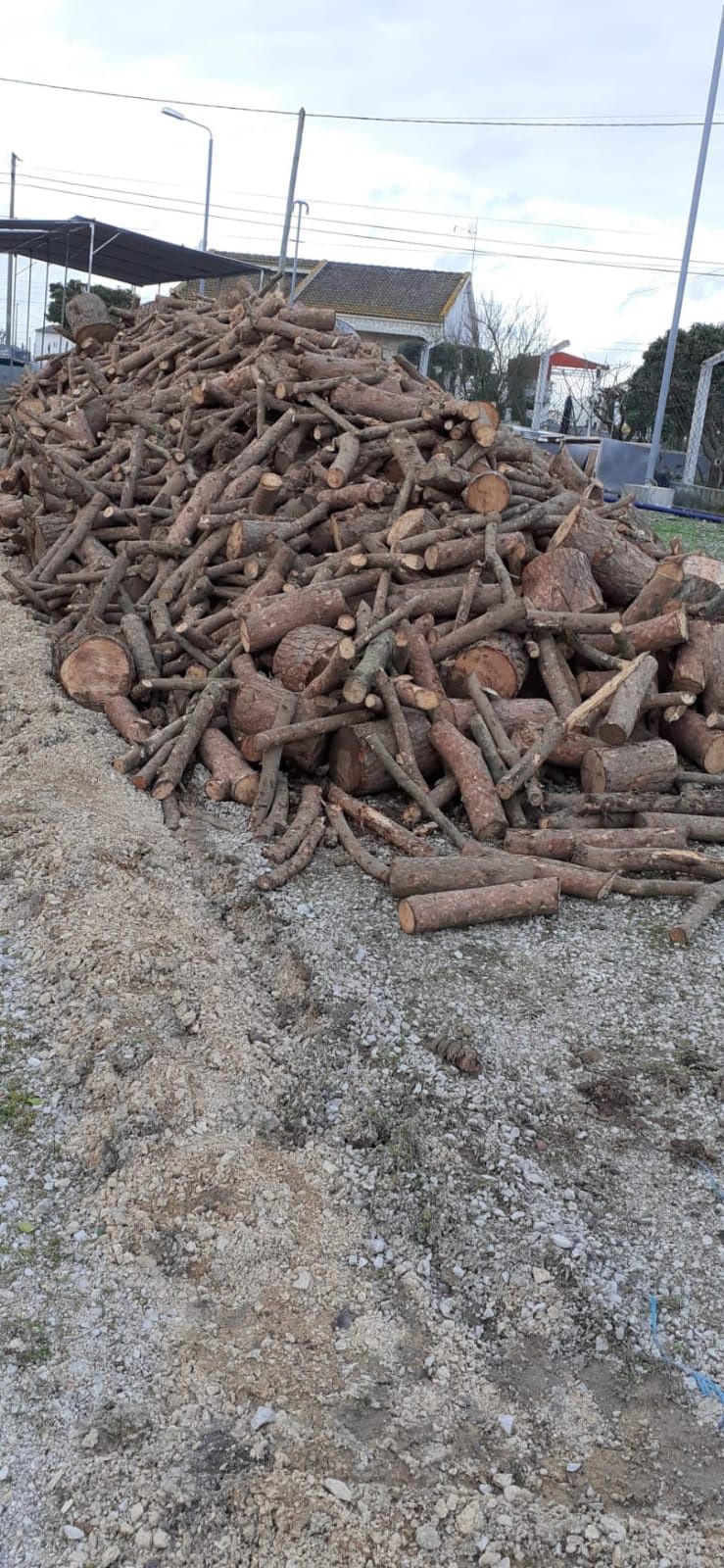 Lenha de pinho para fogão e lareira