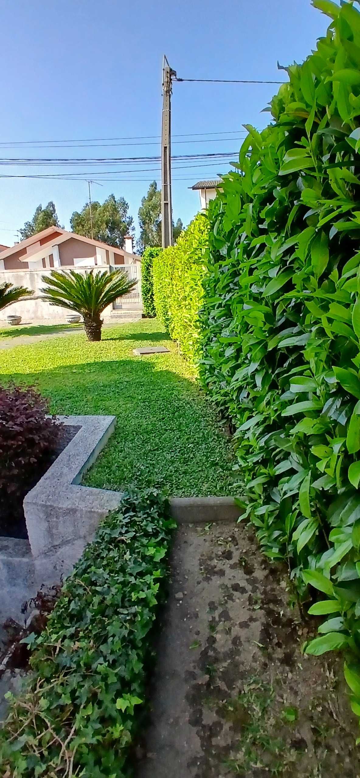 Manutenção de jardins