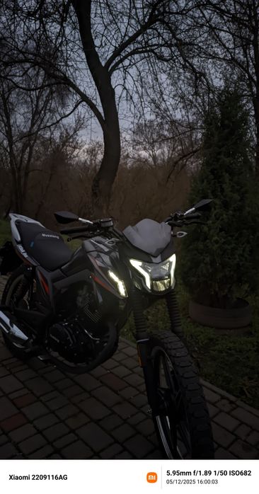 Мустанг фортуна 200