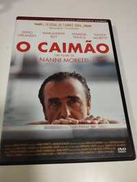 O Caimão DVD - Nanni Moretti