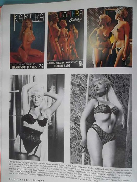 Bizarre Sinema! Cultish Shocking Horrors. 1950s and 1960s
