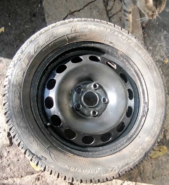215/55 R16 opony zimowe