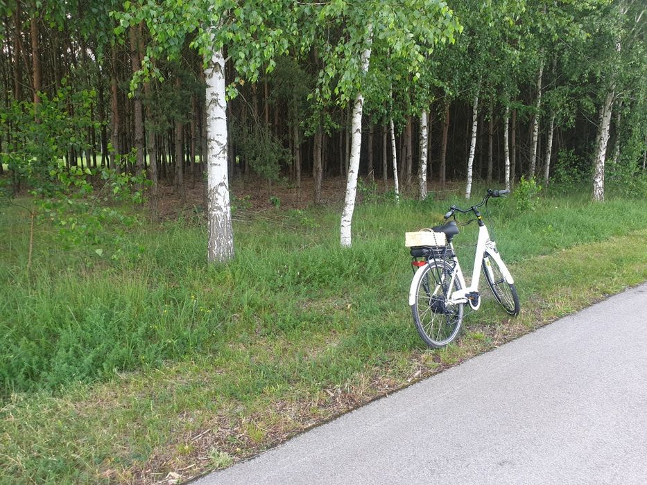 Stemple budowlane drewniane