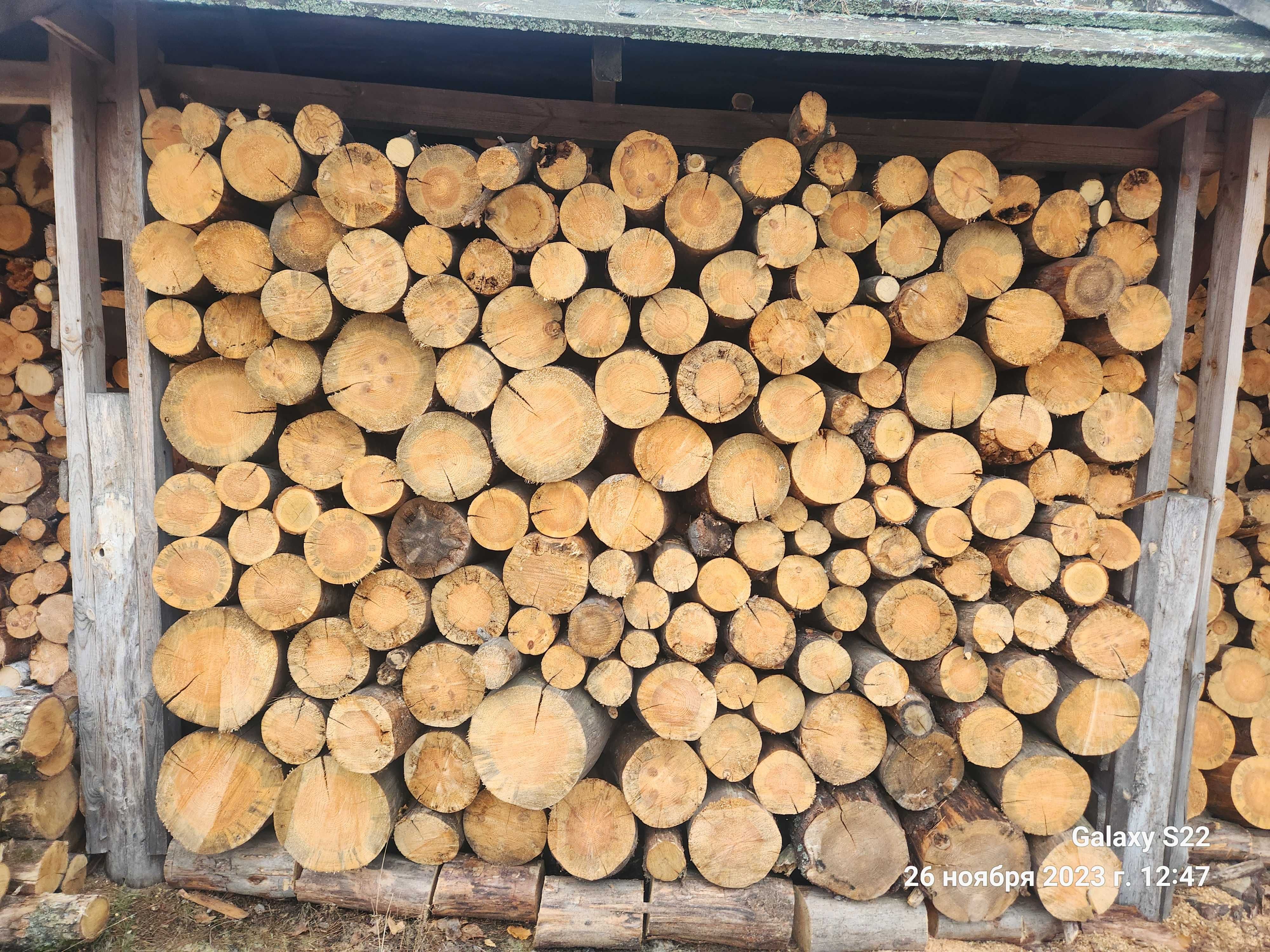 Продам дрова різного виду