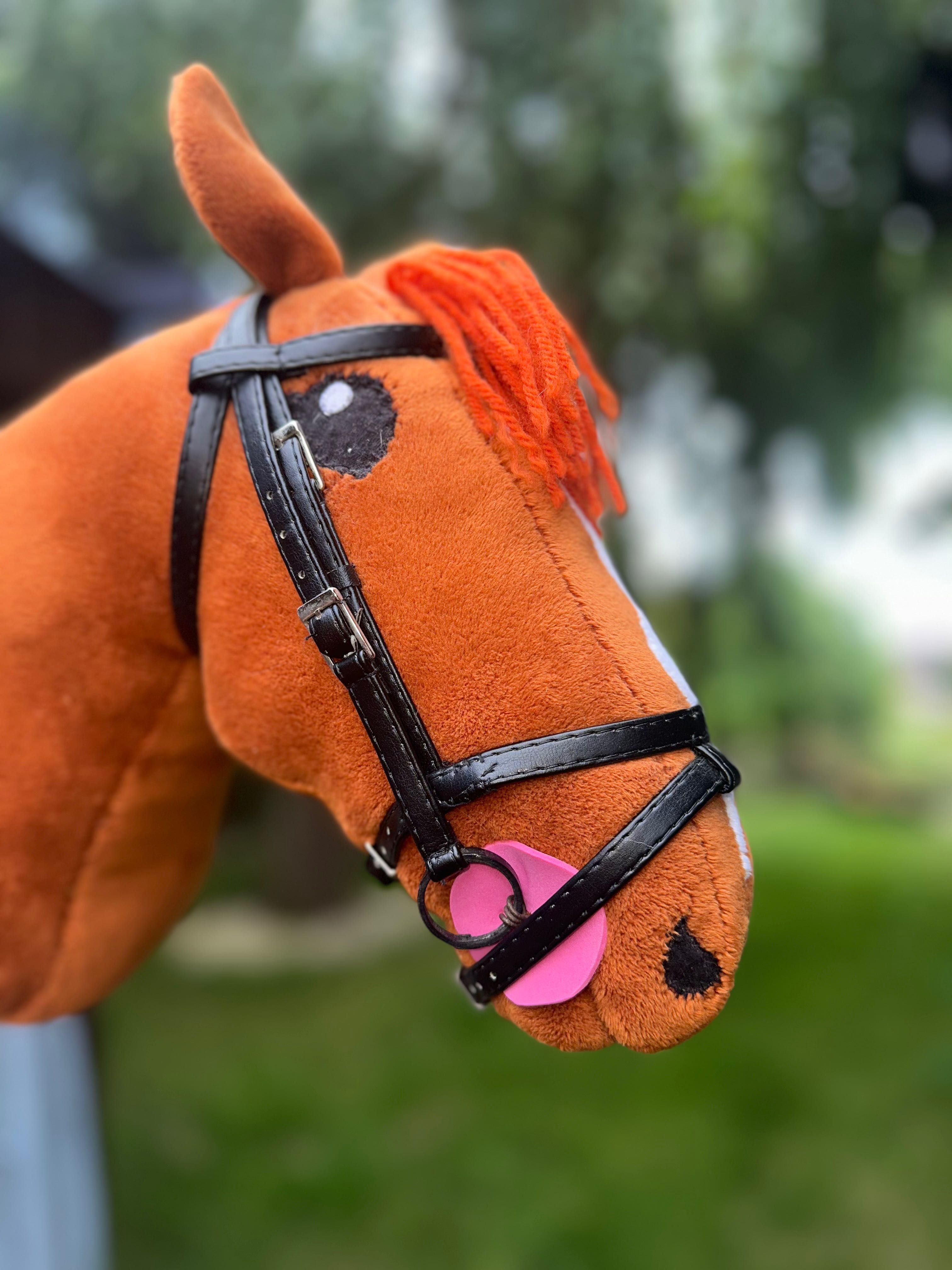 Hobby horse rudy