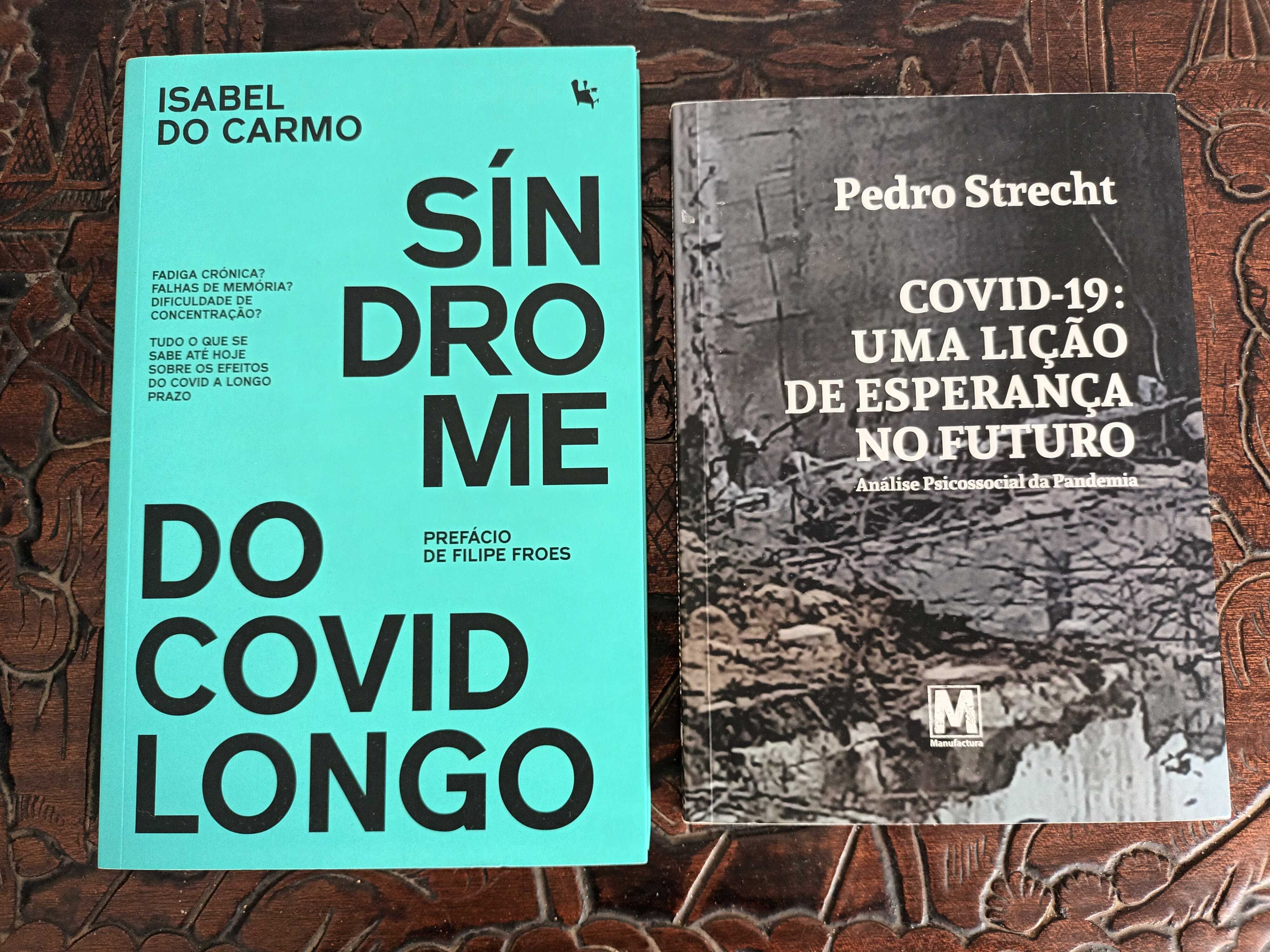 Livros sobre Covid - Isabel do Carmo e Pedro Strecht