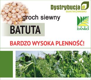 Kwalifikowane nasiona grochu siewnego BATUTA C/1