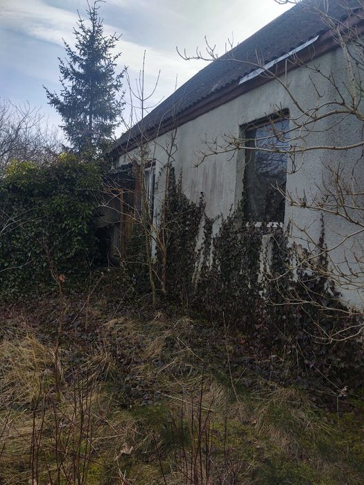 Dom okolice Złotnik Kujawskich 75000zł