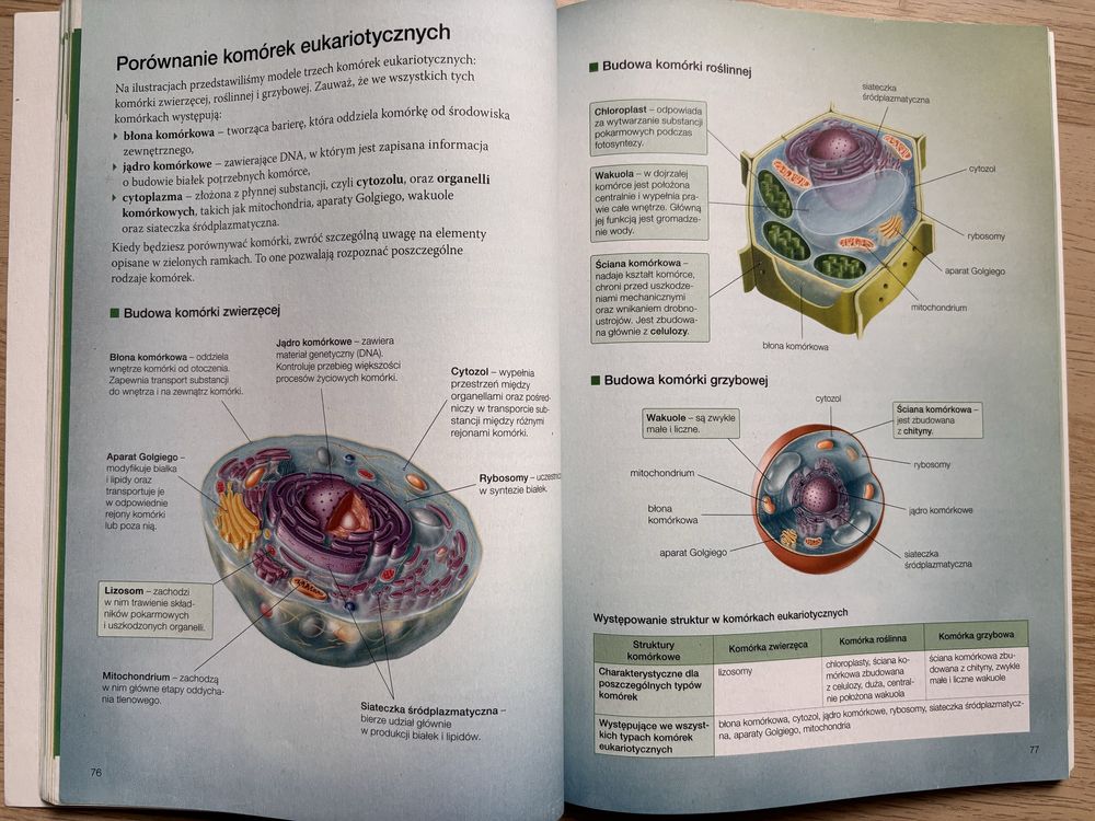 Biologia na czasie 1. Zakres podstawowy.