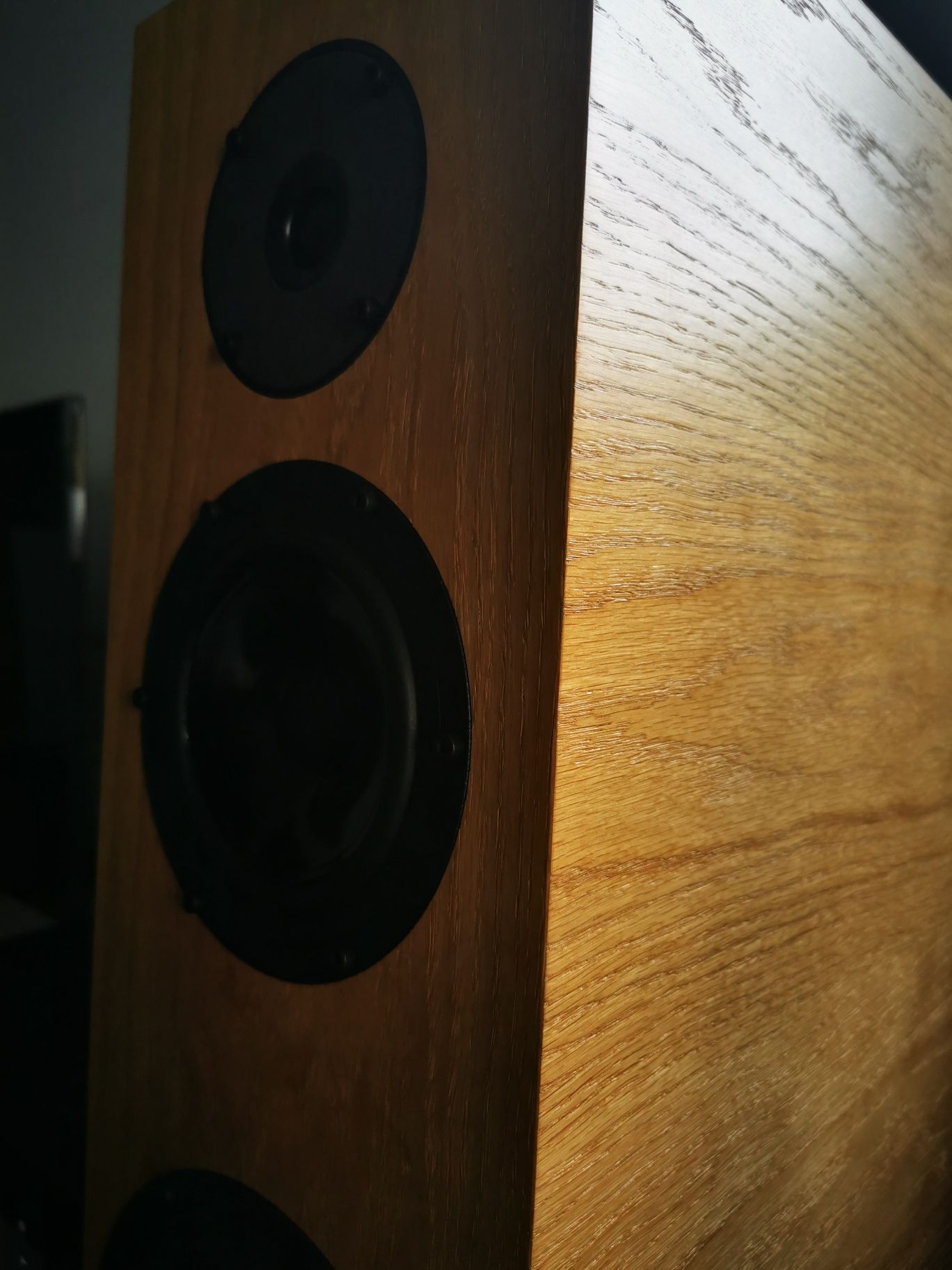 Kolumny Pylon Audio Diamond 30 Para Stereo Gwarancja Odsłuch