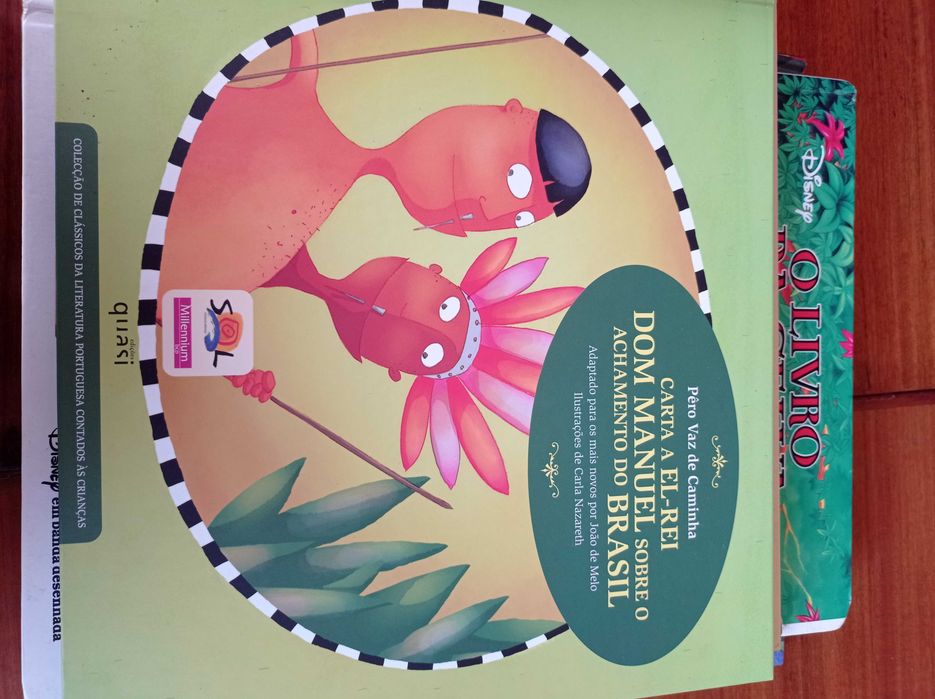 Livros juvenis educativos