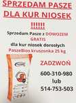 Pasza PaszeBios Kury Nioski Dowóz gratis