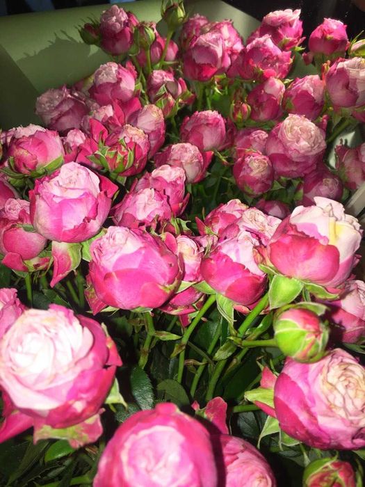 Регистрация компании  (бизнеса)- ООО (ТОВ) , ФЛП (ФОП)