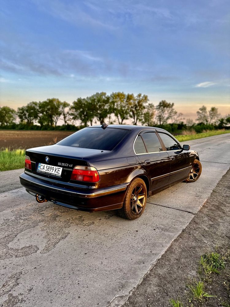 BMW 530d E39 (БЕЗ ДТП)