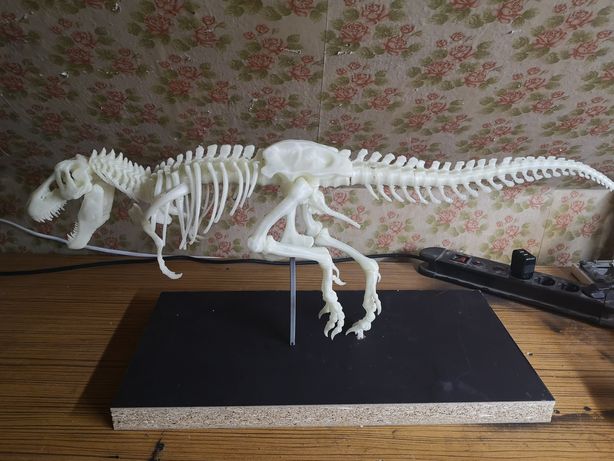 Szkielet T-Rex'a świecący