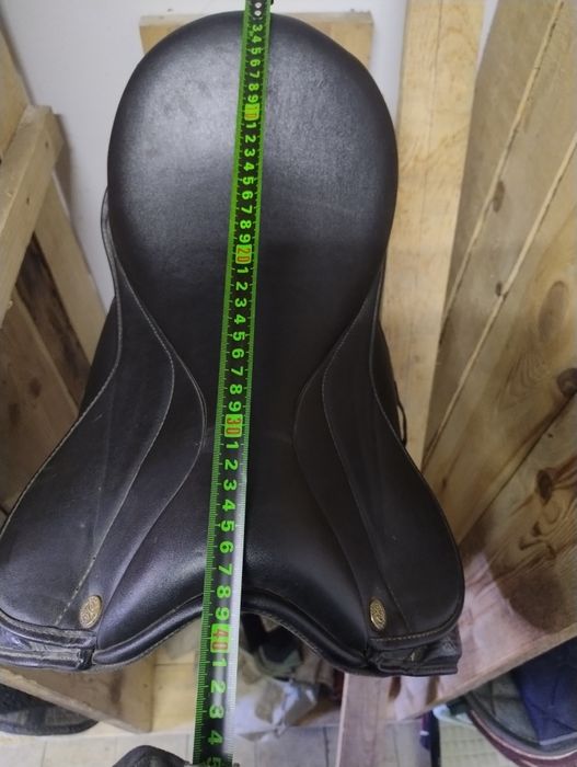 ujeżdżeniowe Claridge House 15'5 - 16"