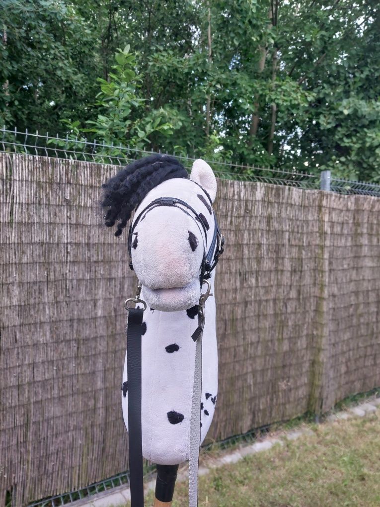 Hobby horse z ogłowiem tarantowaty
