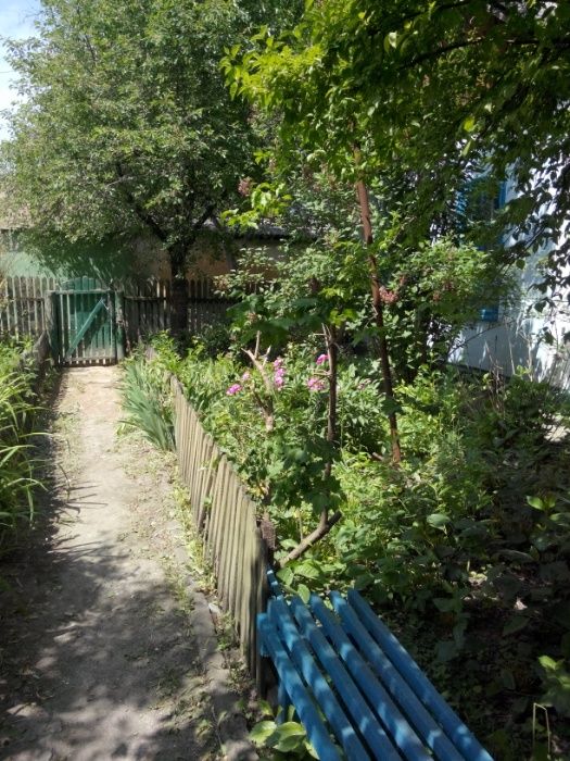 Продам будинок по вул.Центральній з присадибною ділянкою