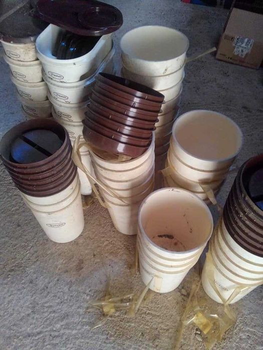 Restos de feira ,caixas de plástico