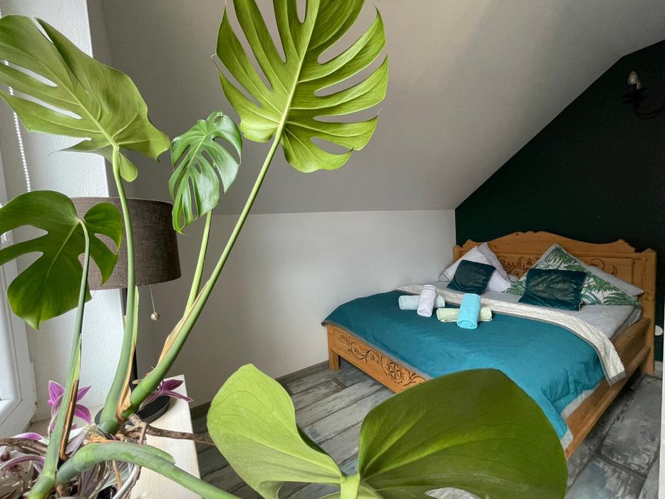 Dom  Pod Baranią apartament typu studio