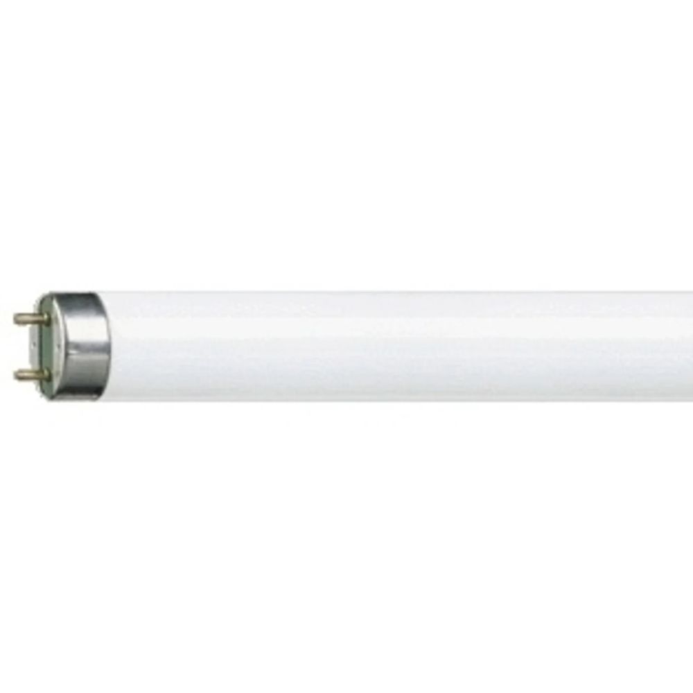 Lampadas florescente 1.5m