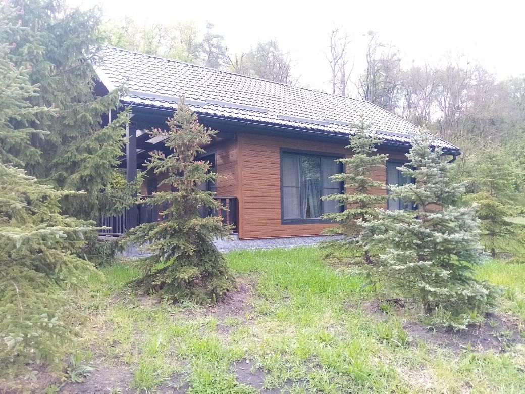 Продається комфортний  будинок, м Городище, Черкаська область