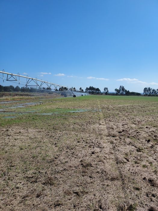 Pivot de rega de 5 torres 298 mt