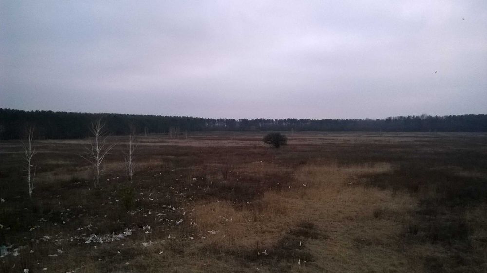 Продам земельну ділянку 1 га за межами села Рожівка, Броварський район
