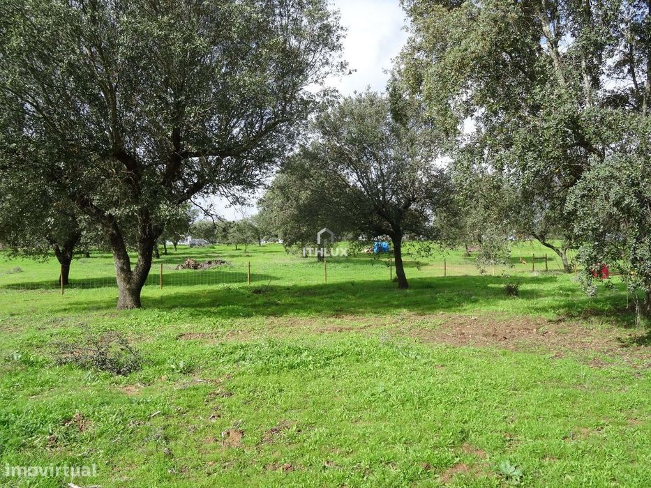Terreno rústico com aproximadamente 70.000 m2  (7 hectares) para venda