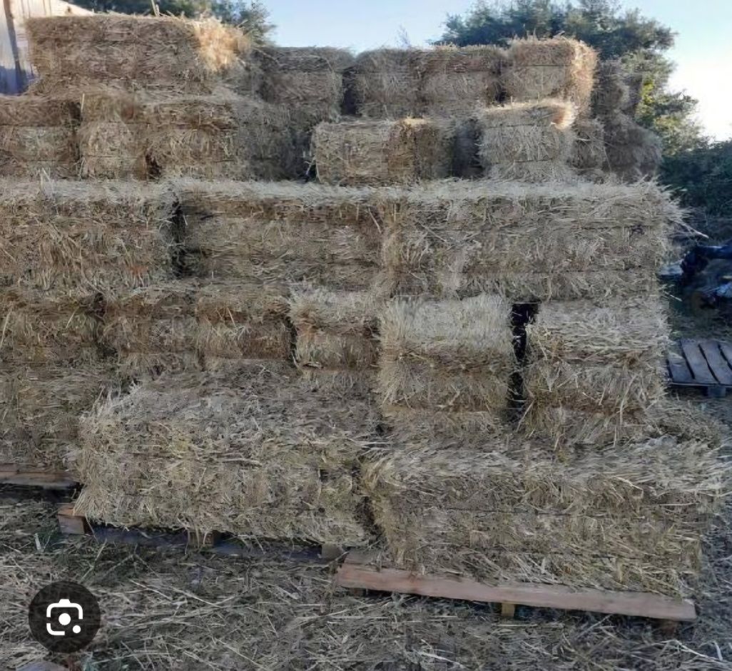 Tenho para venda fardos de palha de azevem.