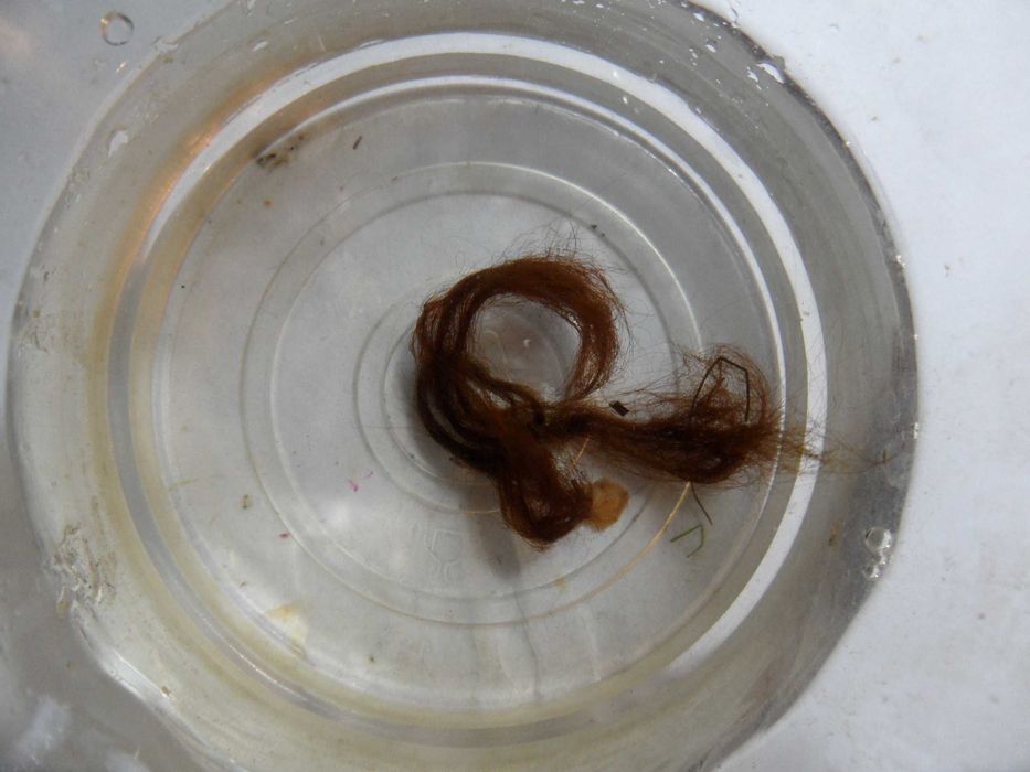 Seachem Flourish Excel 500ml 3x