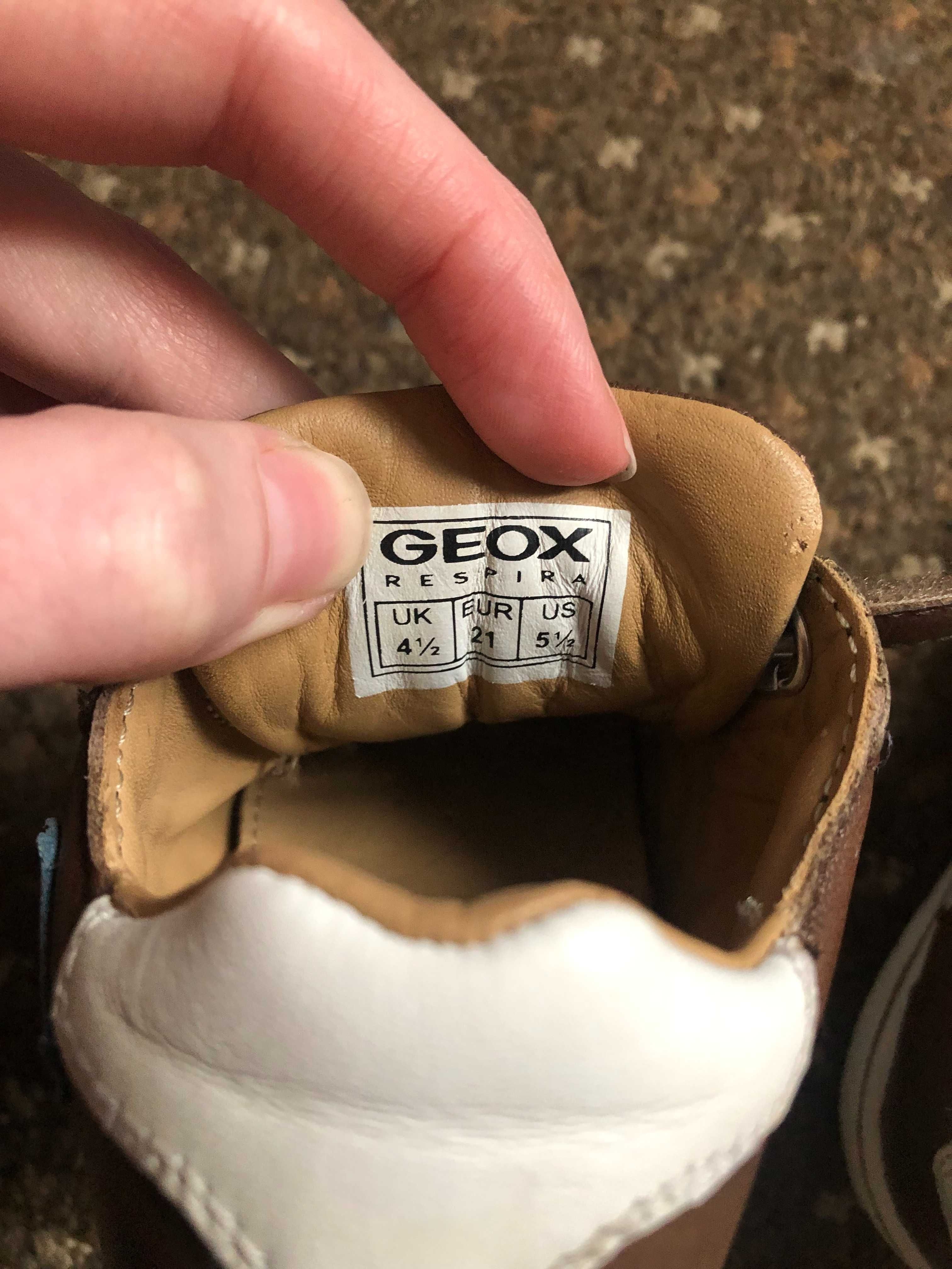 кросівки    Geox