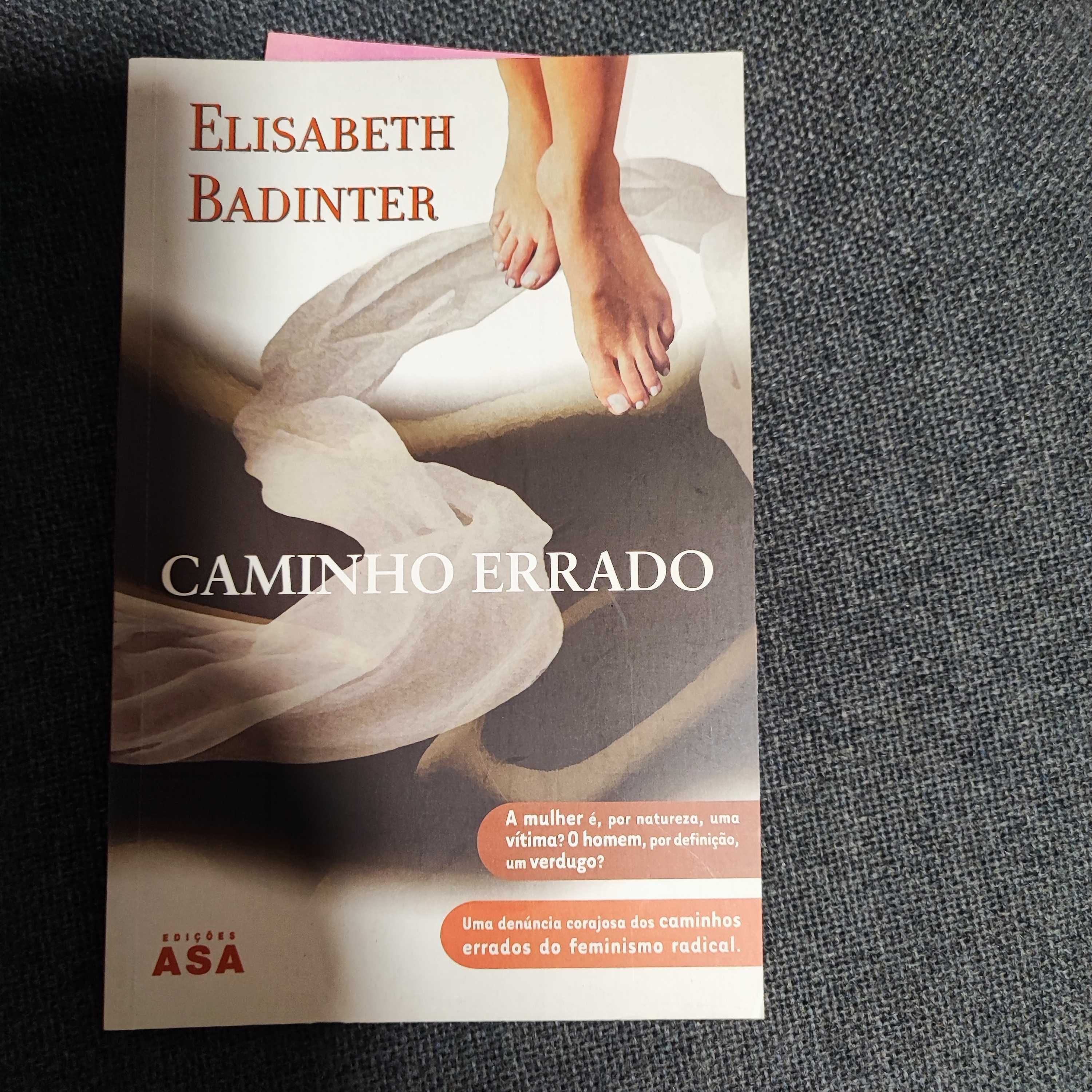 Caminho Errado - Elisabeth Badinter