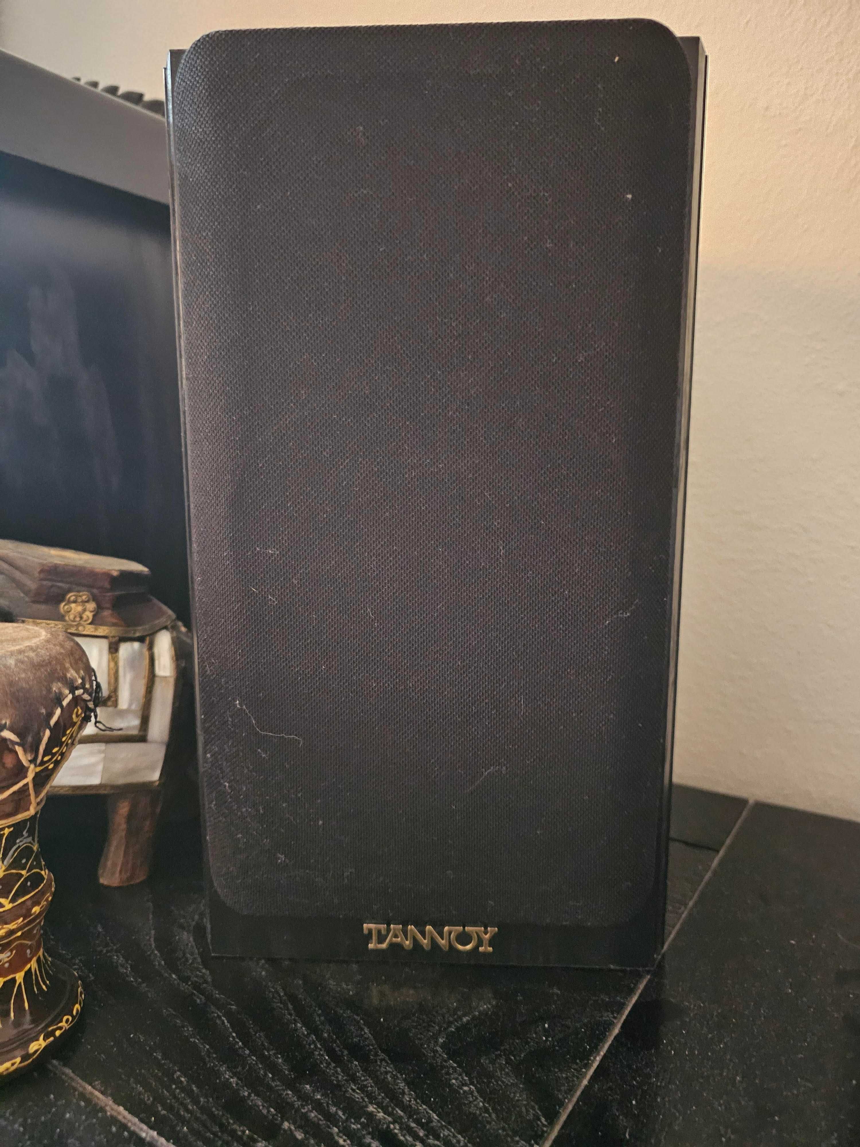 Tannoy M1 - jak nowe!