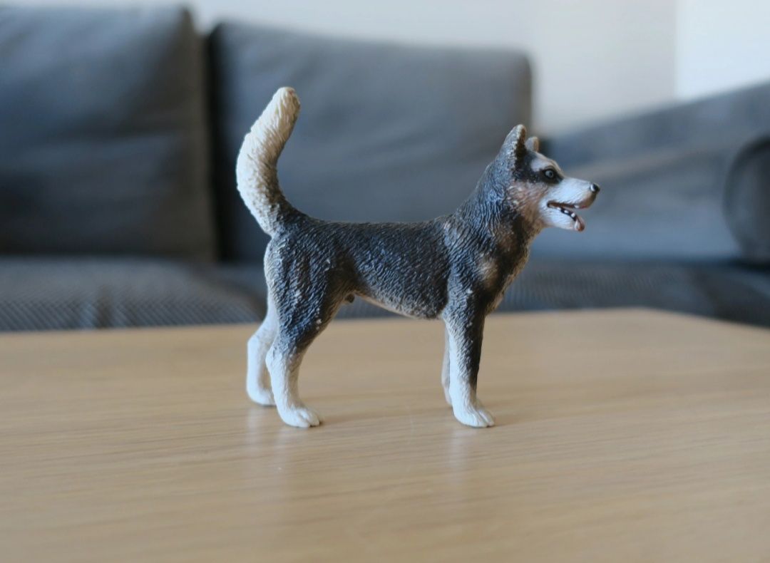 Pies husky Schleich