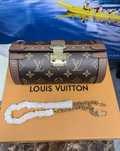 Louis Vuitton Papillon trunk