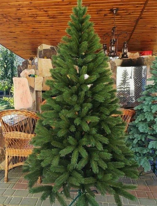 Ялинка лита елка ёлка ель Смерека "Буковельська" зелена Преміум-клас
