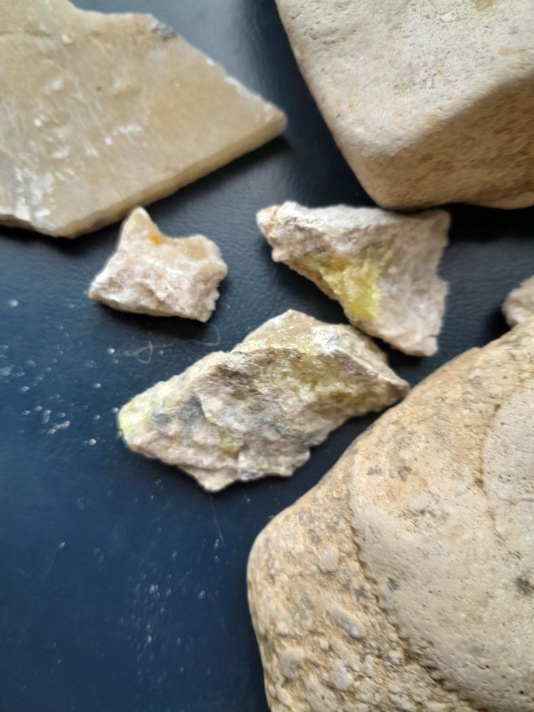 Zestaw skamieniałosci i minerałów, amonit, skamielina