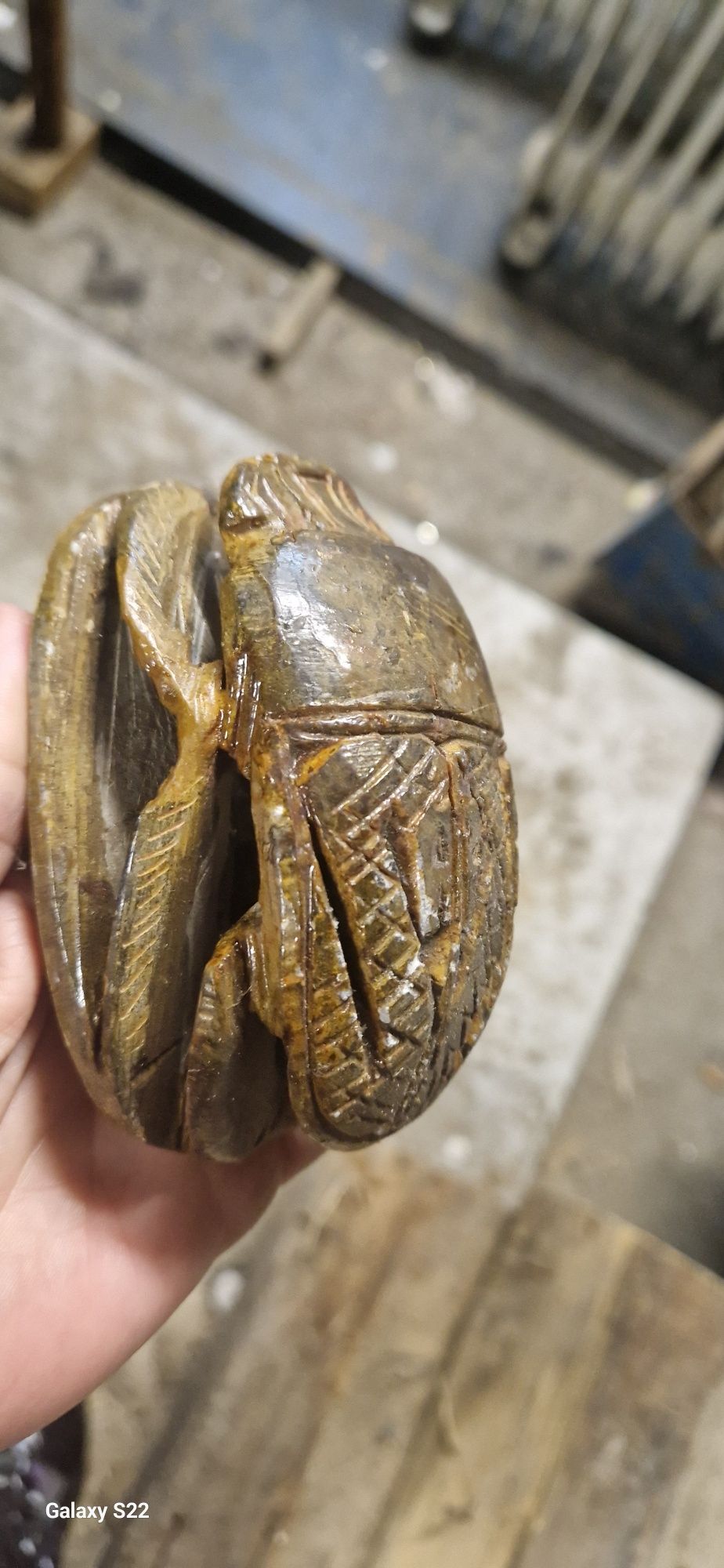Skarabeusze Egipskie