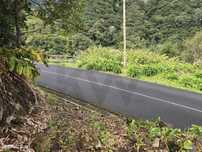 Terreno Com 694M2 ,Com Projecto Aprovado Para 1 Palheiro